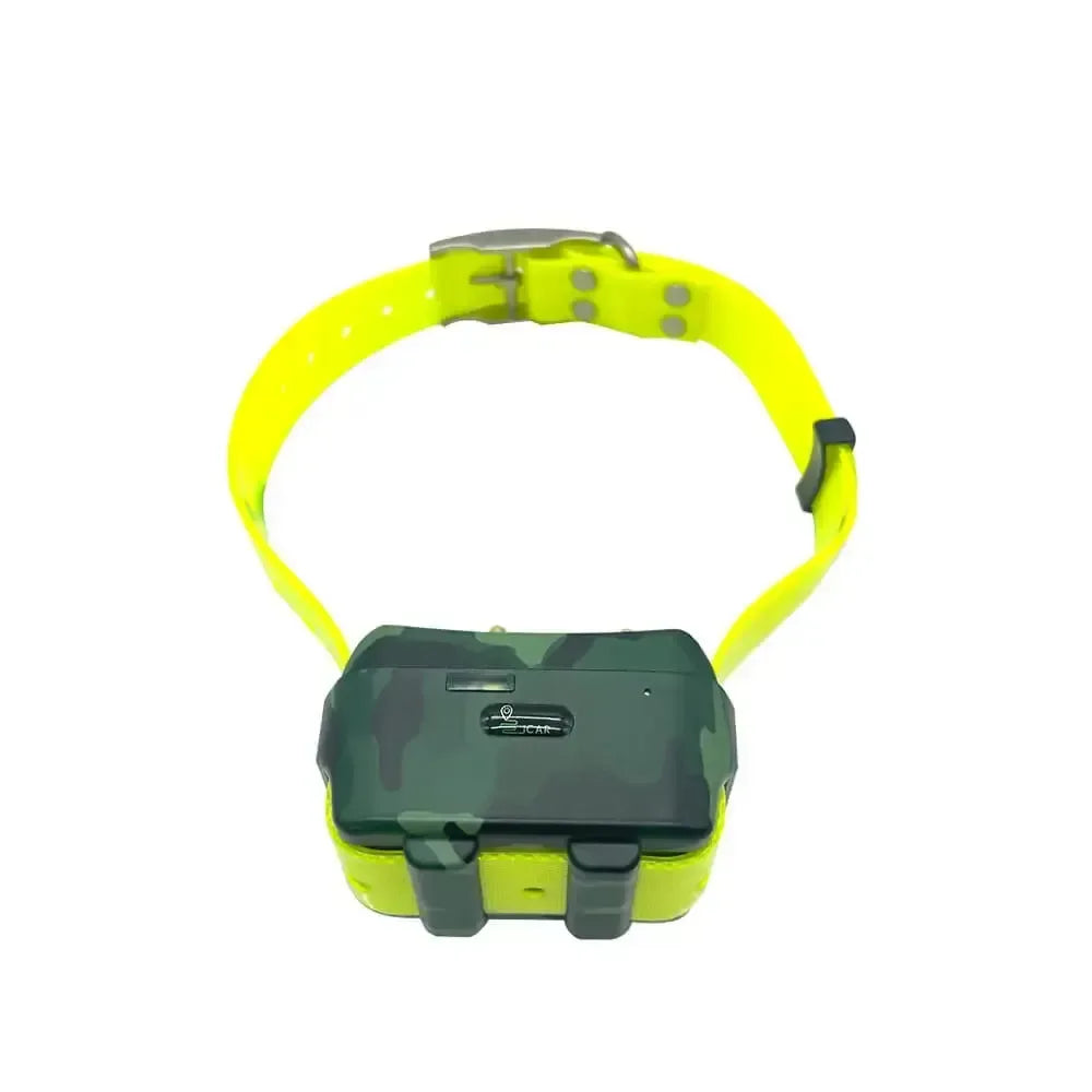 Collier gps chien - Surplus militaire