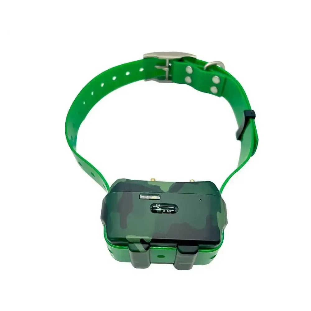 Collier gps chien - Surplus militaire