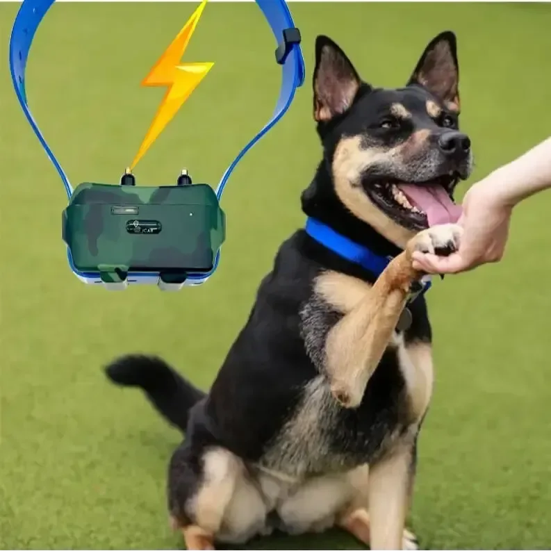 Collier gps chien - Surplus militaire