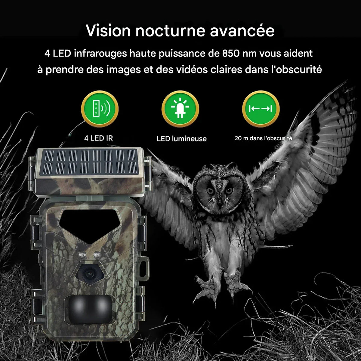 Camera de chasse spypoint - Surplus militaire