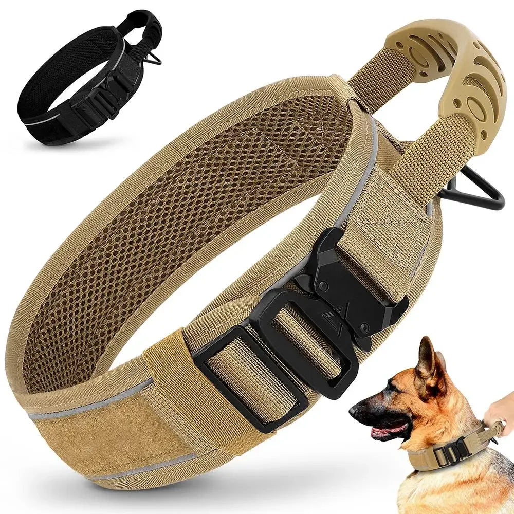 Collier militaire chien - Surplus militaire