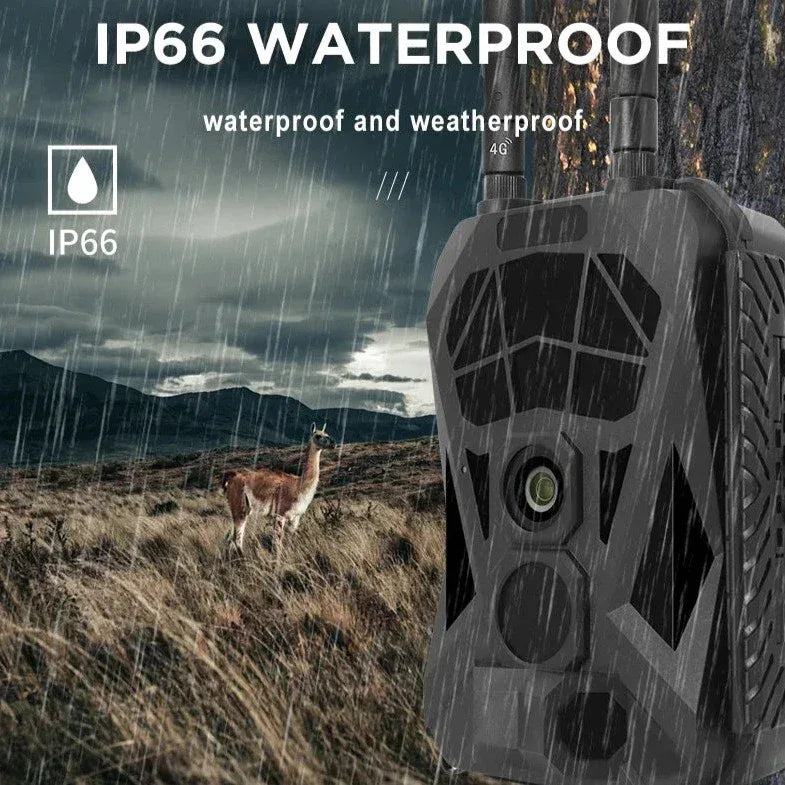 Piege photographique wifi - Surplus militaire