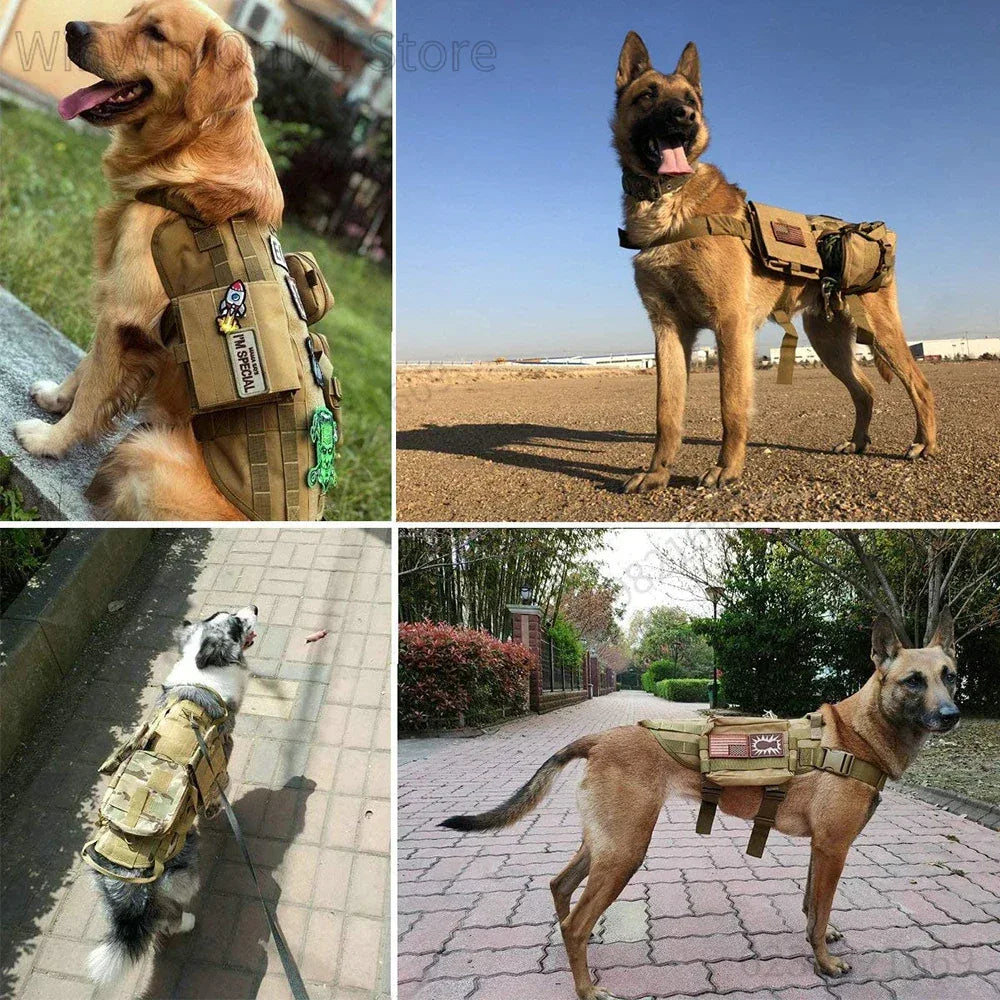 Harnais chien militaire - Surplus militaire