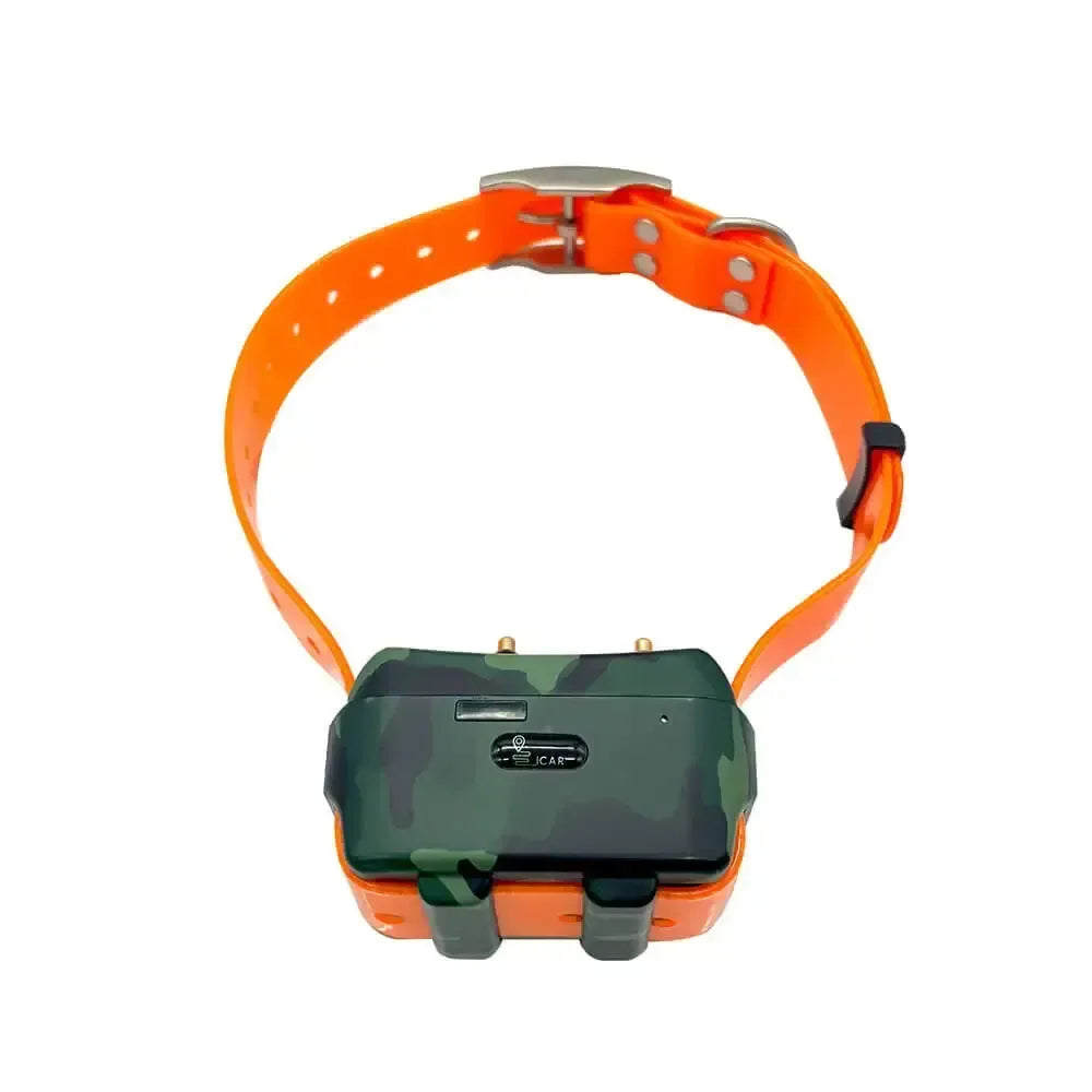 Collier gps chien - Surplus militaire