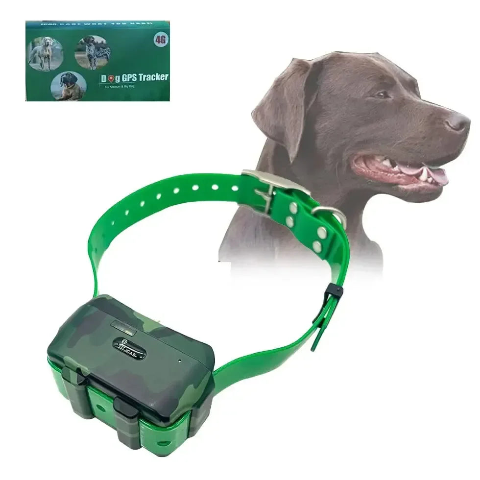 Collier gps chien - Surplus militaire