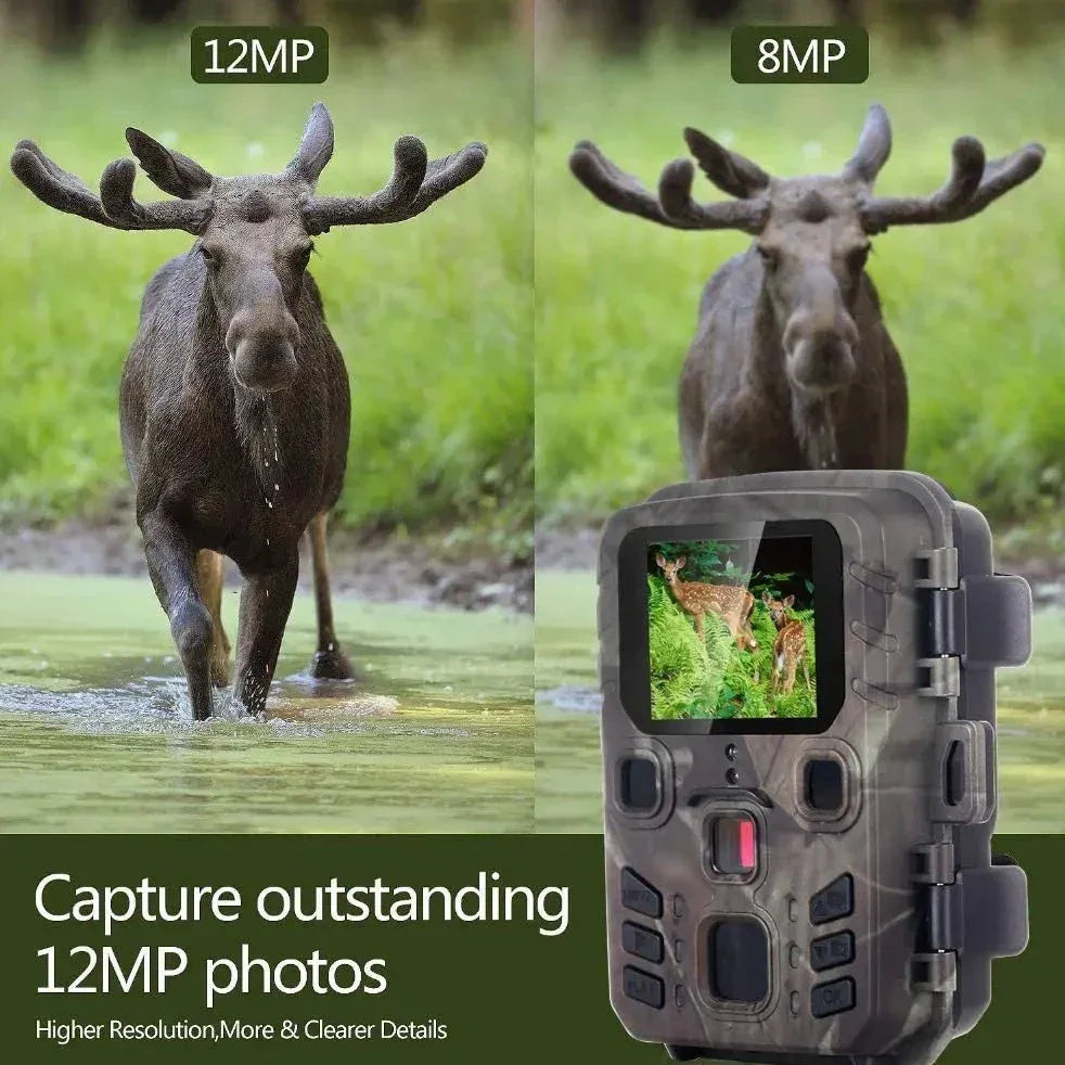 Camera de chasse surveillance - Surplus militaire