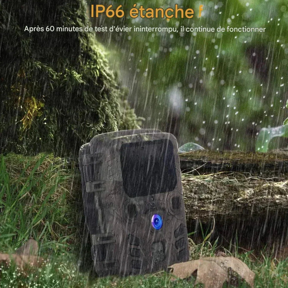 Camera de chasse surveillance - Surplus militaire