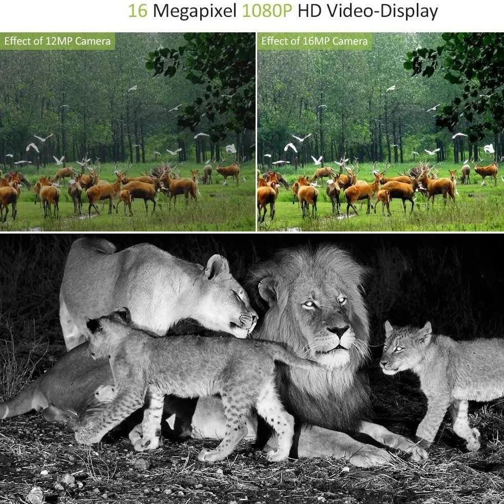 Camera de chasse surveillance - Surplus militaire