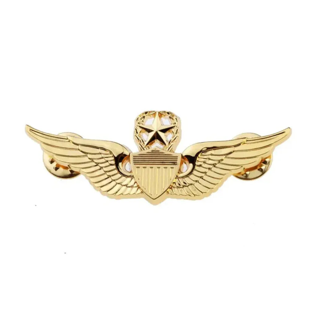 Insigne militaire francaise - Surplus militaire