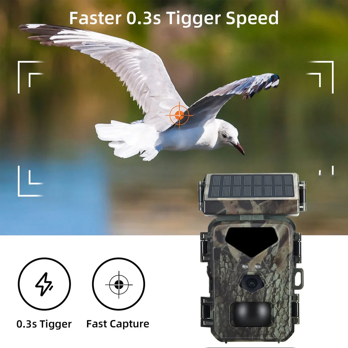 Camera de chasse spypoint - Surplus militaire
