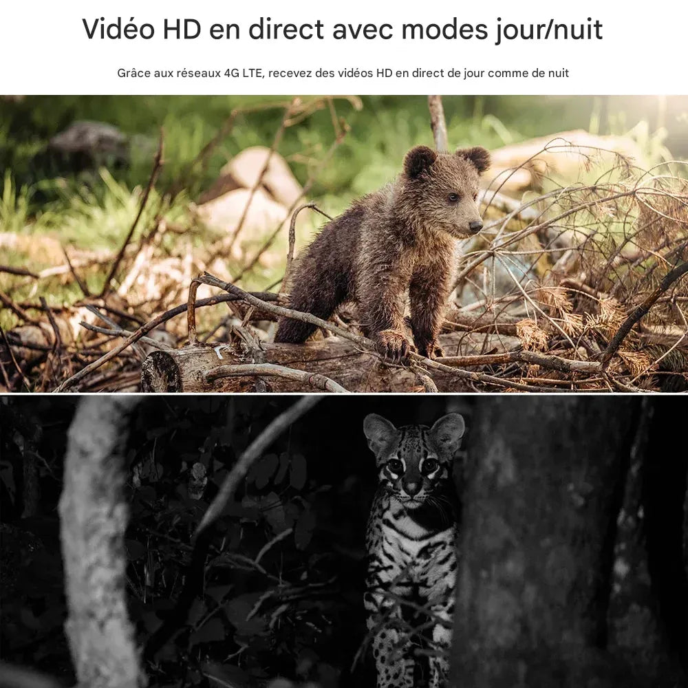 Camera de chasse solaire - Surplus militaire